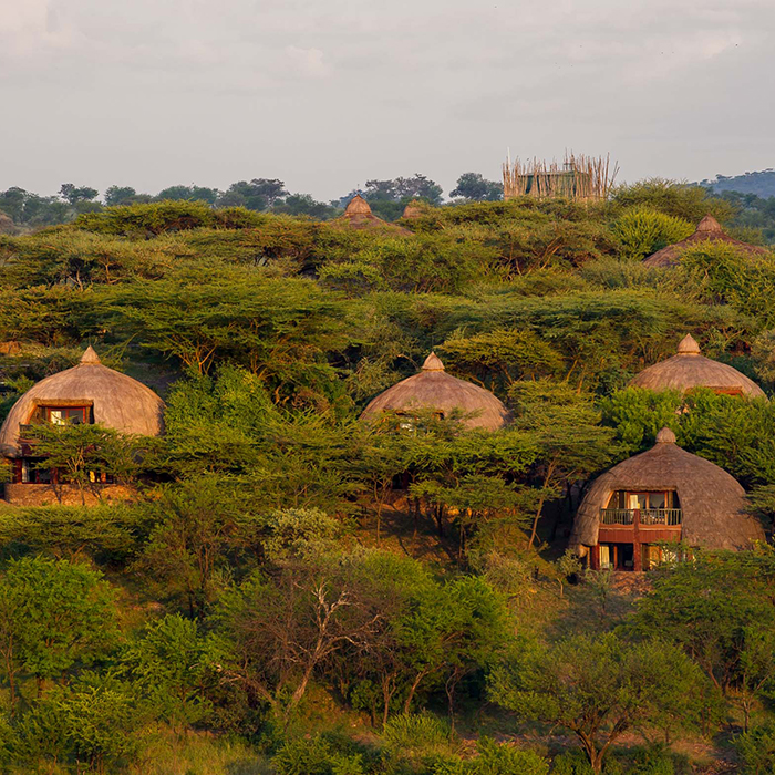 Image de Serengeti Serena Safari Lodge