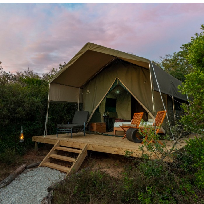 Image de Shamwari Private Game Reserve - Explorer Camp